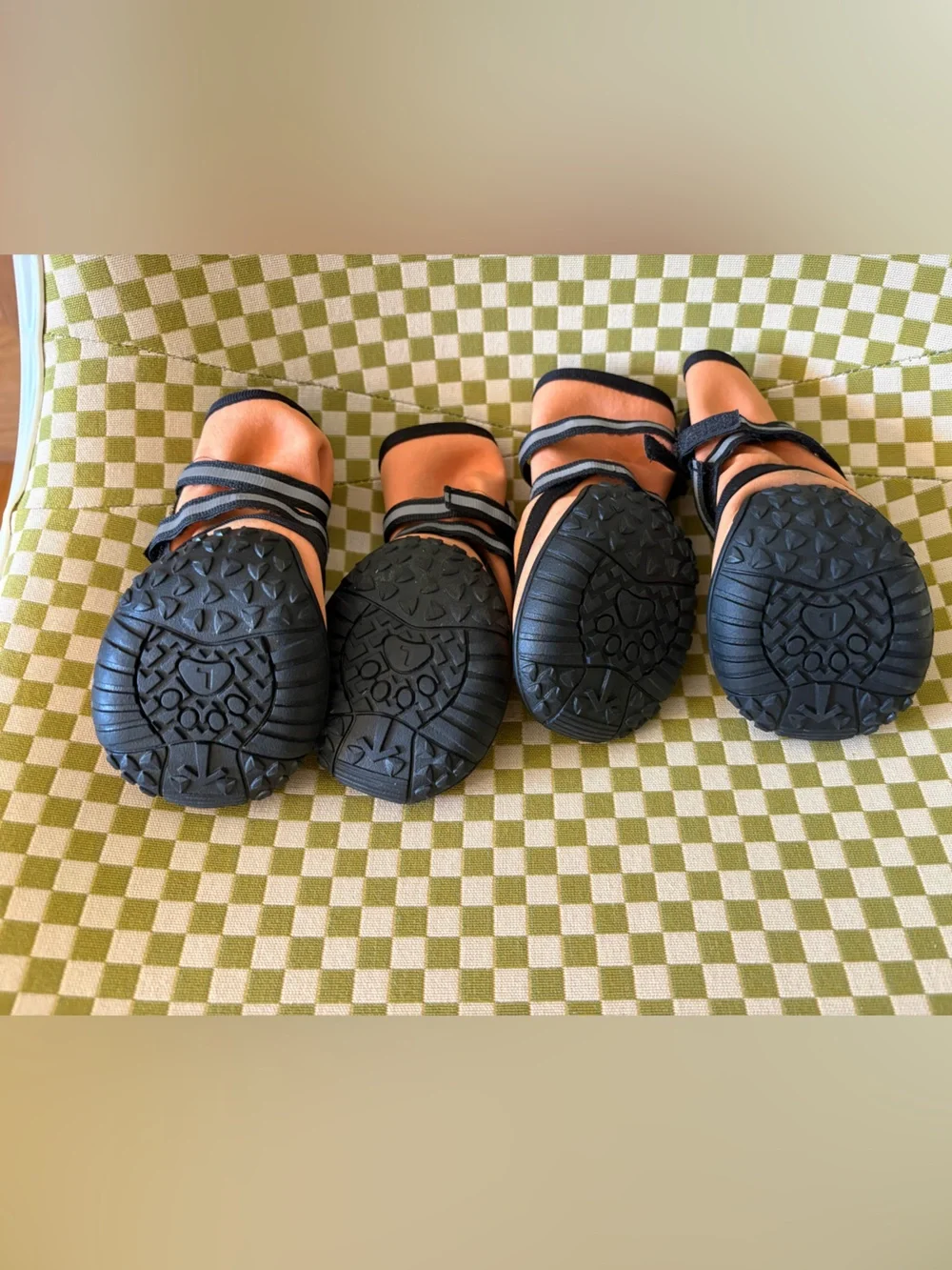 Dog Shoes Paw Protectors Breathable Boots Summer